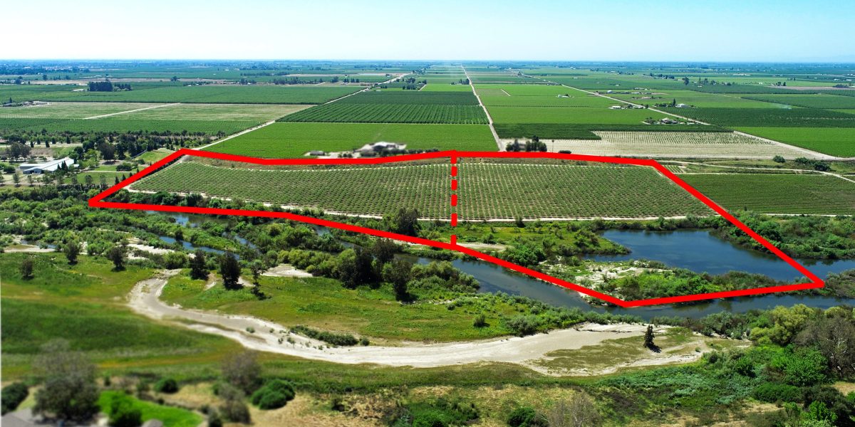 San Joaquin Riverfront Pistachios