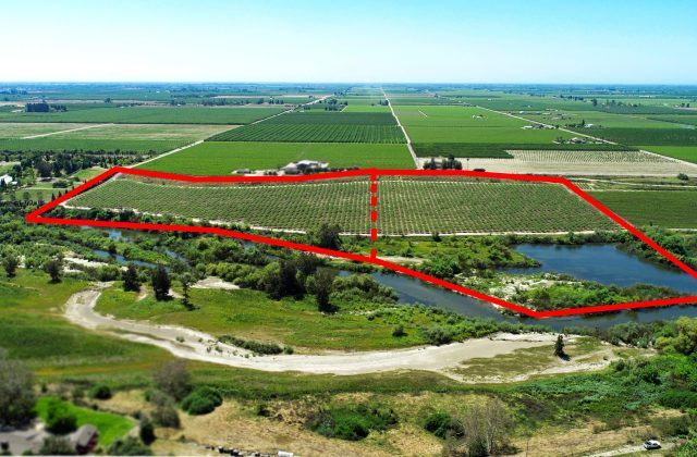 San Joaquin Riverfront Pistachios