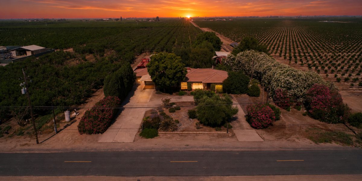 Dinuba Peaches & Home